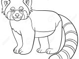 Coloriage Panda Roux Coloring Pages Little Cute Red Panda Stands and Smiles Royalty