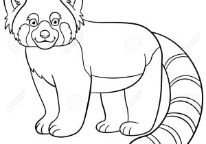 Coloriage Panda Roux Coloring Pages Little Cute Red Panda Stands and Smiles Royalty