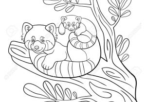 Coloriage Panda Roux Coloring Pages Mother Red Panda Sits the Tree Branch with