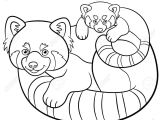 Coloriage Panda Roux Coloring Pages Mother Red Panda with Her Cute Baby Royalty Free