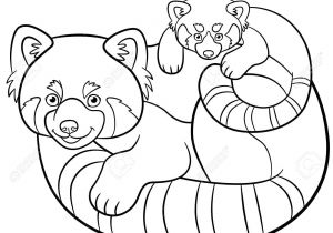 Coloriage Panda Roux Coloring Pages Mother Red Panda with Her Cute Baby Royalty Free