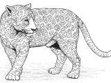 Coloriage Panthere A Imprimer Imprimer Mandala Animaux Dessin A Imprimer Gratuit