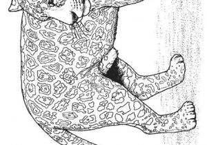 Coloriage Panthere Noire Imprimer Imprime Le Dessin à Colorier De Panthère