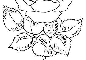 Coloriage Panthere Rose à Imprimer Lovely Coloriage   Imprimer Dragon Ball Z