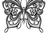 Coloriage Papillon à Imprimer Adulte Dessin   Colorier D Un Superbe Papillon Hugolescargot