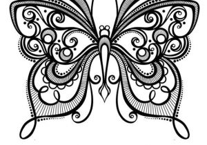 Coloriage Papillon à Imprimer Adulte Dessin   Colorier D Un Superbe Papillon Hugolescargot