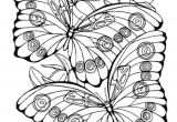 Coloriage Papillon à Imprimer Hugo L Escargot Coloriage Hugo L Escargot Papillon