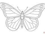Coloriage Papillon à Imprimer Maternelle 28 Best butterfly Printables Images On Pinterest