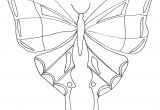 Coloriage Papillon à Imprimer Maternelle Coloriage Simple D 39 Un Papillon Coloriage Papillon T Te Dessin