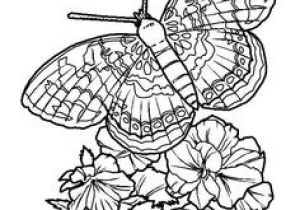 Coloriage Papillon Et Fleur 154 Meilleures Images Du Tableau Coloriage De Papillons Et