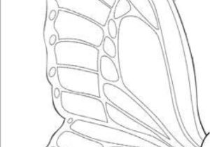 Coloriage Papillon Et Fleur butterfly Template Papillons