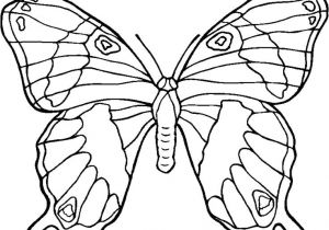 Coloriage Papillons A Imprimer Gratuit 87 Best Papillon Images On Pinterest
