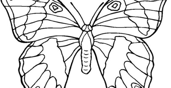 Coloriage Papillons A Imprimer Gratuit 87 Best Papillon Images On Pinterest
