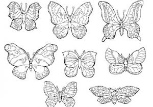 Coloriage Papillons A Imprimer Gratuit Index Of Albums Photos Papillon Coloriage
