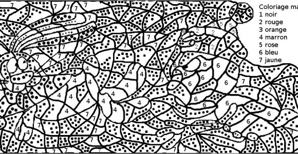 Coloriage Par Numero Pour Adulte En Ligne Coloriage Avec Numero Pour Adulte A Imprimer Dessins