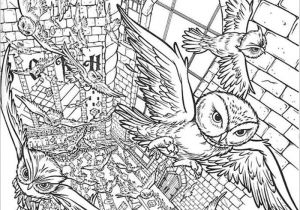 Coloriage Pas A Imprimer Coloriages   Imprimer Harry Potter