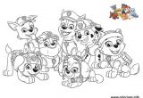 Coloriage Pat Patrouille à Imprimer Gratuit 126 Best Dessins Pat Patrouille Et Autre Dessin Animé Images On