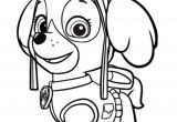 Coloriage Pat Patrouille A Imprimer Gratuit Coloriage Pat Patrouille 30 Dessins   Imprimer Gratuitem