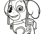 Coloriage Pat Patrouille A Imprimer Gratuit Coloriage Pat Patrouille 30 Dessins   Imprimer Gratuitem