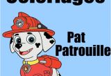 Coloriage Pat Patrouille A Imprimer Gratuit Coloriage Pat Patrouille 30 Dessins   Imprimer