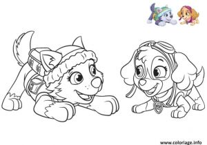 Coloriage Pat Patrouille A Imprimer Gratuit Coloriage Pat Patrouille Everest Joue Avec Stella Dessin  