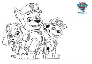 Coloriage Pat Patrouille à Imprimer Gratuit Dessin Coloriage Grand format