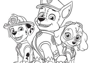 Coloriage Pat Patrouille Facile Les 25 Meilleures Idées De La Catégorie Dessin Pat