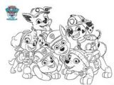 Coloriage Pat Patrouille Paques 54 Meilleures Images Du Tableau Coloriage Pat Patrouille