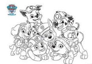 Coloriage Pat Patrouille Paques 54 Meilleures Images Du Tableau Coloriage Pat Patrouille
