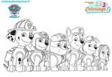 Coloriage Pat Patrouille Paques Les 68 Meilleures Images De Pat Patrouille En 2019
