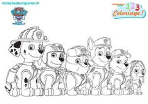 Coloriage Pat Patrouille Paques Les 68 Meilleures Images De Pat Patrouille En 2019