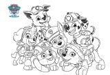 Coloriage Patte Patrouille à Imprimer Dessin A Imprimer Gfx09 Napanonprofits