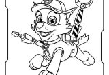 Coloriage Paw Patrol à Imprimer 126 Best Dessins Pat Patrouille Et Autre Dessin Animé Images On
