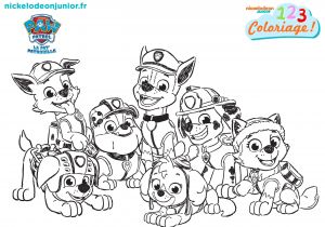 Coloriage Paw Patrol A Imprimer Coloriage Paw Patrol