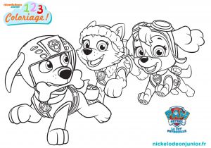 Coloriage Paw Patrol A Imprimer Coloriage Paw Patrol