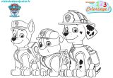 Coloriage Paw Patrol A Imprimer Coloriage Paw Patrol