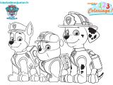 Coloriage Paw Patrol A Imprimer Coloriage Paw Patrol