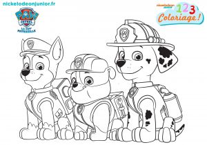 Coloriage Paw Patrol A Imprimer Coloriage Paw Patrol