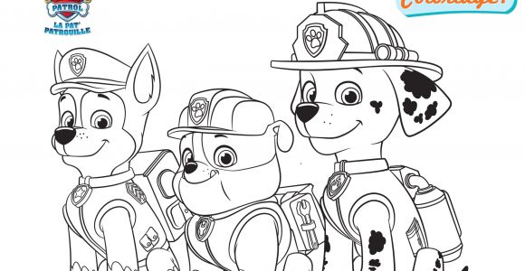 Coloriage Paw Patrol A Imprimer Coloriage Paw Patrol