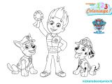 Coloriage Paw Patrol A Imprimer Coloriages Paw Patrol La Pat Patrouille