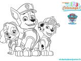 Coloriage Paw Patrol A Imprimer Coloriages Paw Patrol La Pat Patrouille