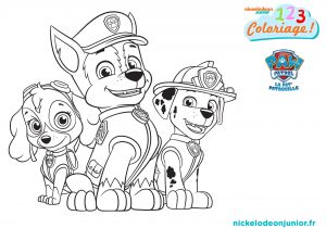 Coloriage Paw Patrol A Imprimer Coloriages Paw Patrol La Pat Patrouille