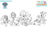 Coloriage Paw Patrol A Imprimer Unique Dessin Coloriage Paw Patrol – Mademoiselleosaki