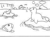 Coloriage Paysage Banquise Coloriage Phoque   Colorier Dessin   Imprimer