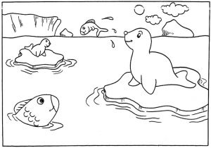 Coloriage Paysage Banquise Coloriage Phoque   Colorier Dessin   Imprimer