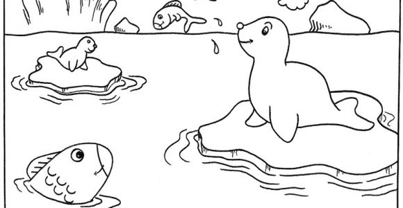 Coloriage Paysage Banquise Coloriage Phoque   Colorier Dessin   Imprimer