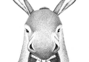 Coloriage Peau D Ane 99 Best Peau D Ane Images On Pinterest