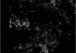 Coloriage Pet Shop Poney à Imprimer Black & White