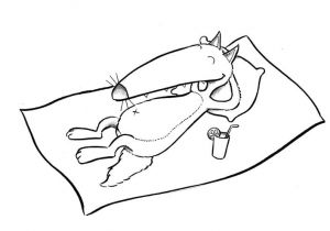 Coloriage Petit Loup Auzou 191 Best Educ P Tit Loup Images On Pinterest