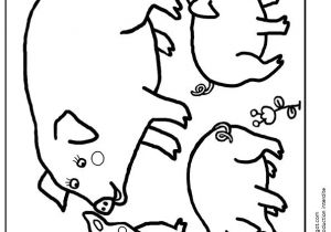 Coloriage Petite Poule Rousse 77 Best Coloriages De Bébés Animaux Images On Pinterest